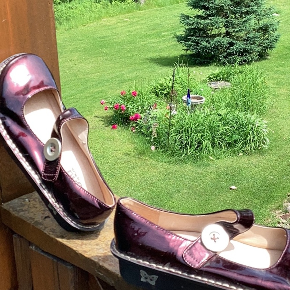 π· BURGUNDY PATENT LEATHER Mary Jane Size 38 = 8/8 1/2 Alegria EPLC π - Picture 2 of 16